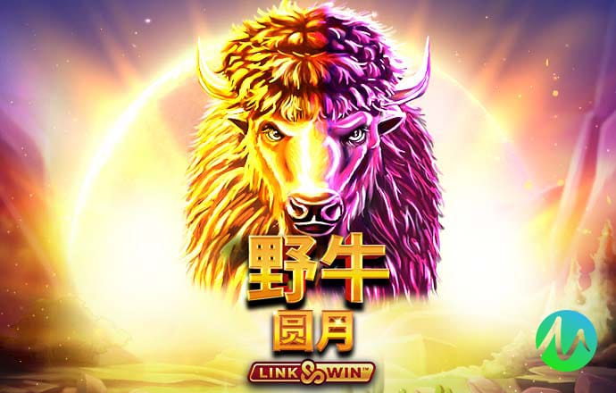 中欧体育vip官网登录入口